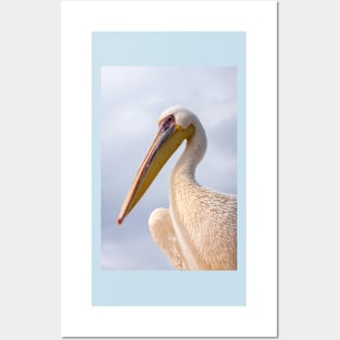 Pelican. Posters and Art